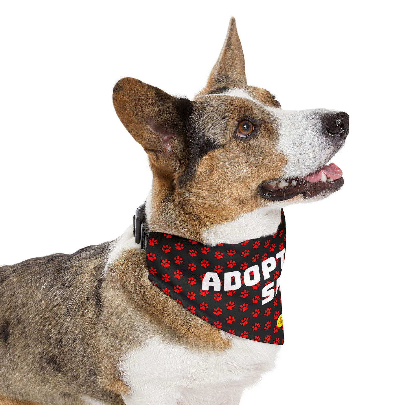 Adopt Dont Shop, Pet Bandana Collar